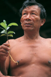 Peruvian Shamanism: A Different Kind of Medicine Image